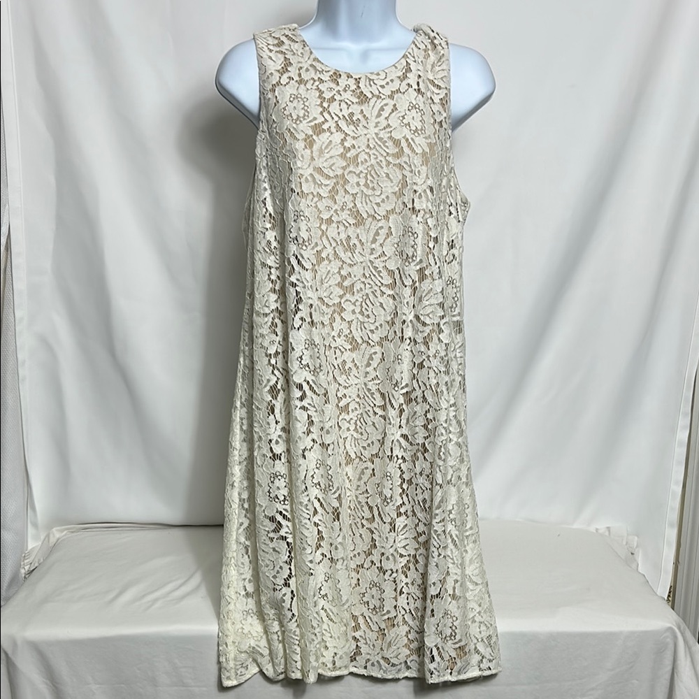 Tommy Hilfiger Women’s size 12 Neutral Color Peek A Boo Back Lace Lined Dress
